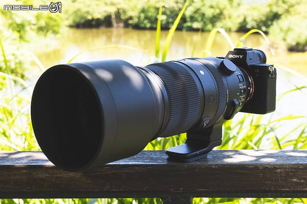 SIGMA 150-600mm 鏡頭評測 野生動物攝影 運動賽事攝影 